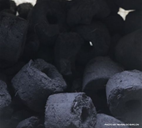 Cocofiber-based charcoal