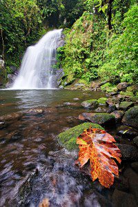 naga city cebu tourist spots