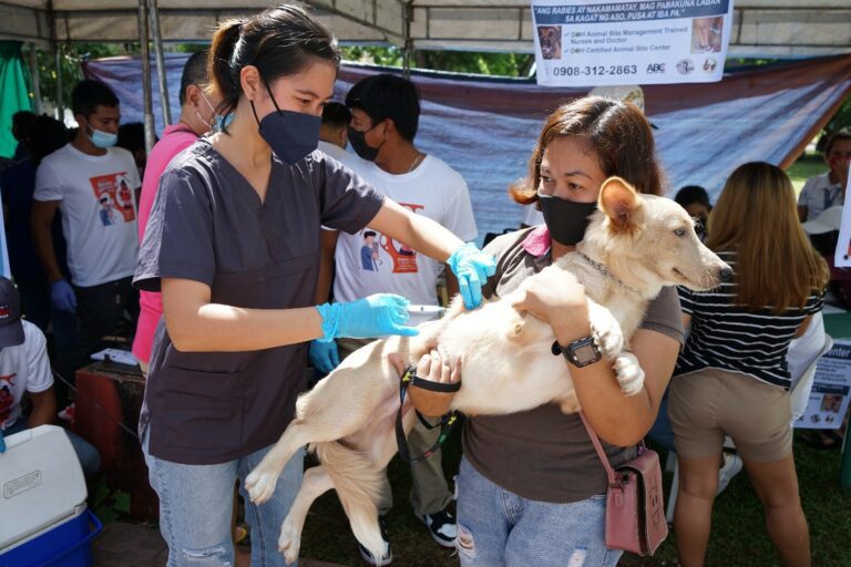 ANTI-RABIES VACCINATION. Katuwang an nagkakapirang volunteers, padagos na pigtatawan nin dalan kan City Veterinary Office an kampanya kontra sa makangirhat na rabies. An retrato pigkoa kan Marso 26, 2022 durante kan pag obserbar kan Rabies Awareness Month. (REY BAYLON, CEPPIO)