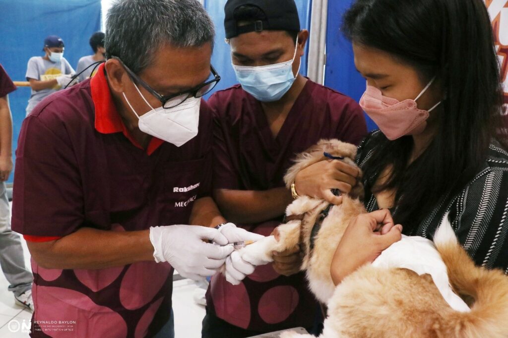 CITY Vet Junios Elad readies a dog for castration during the celebration of the World Veterinary Day conducted at Robinsons Place Naga on April 30, 2022. JBN/REY BAYLON/CEPPIO