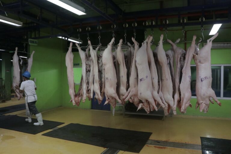 An malinig na pigbonong mga orig sa Naga City District Abattoir na pigtatransportar sa mga pagtaraed na banwaan kan syudad. An pasilidad rehistrado sa National Meat Inspection Service bilang slaughterhouse na yaon sa Triple A category.